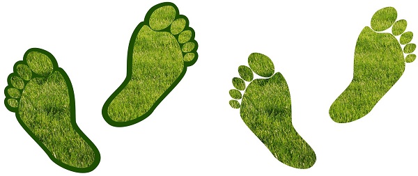 Climctae change image of green feet