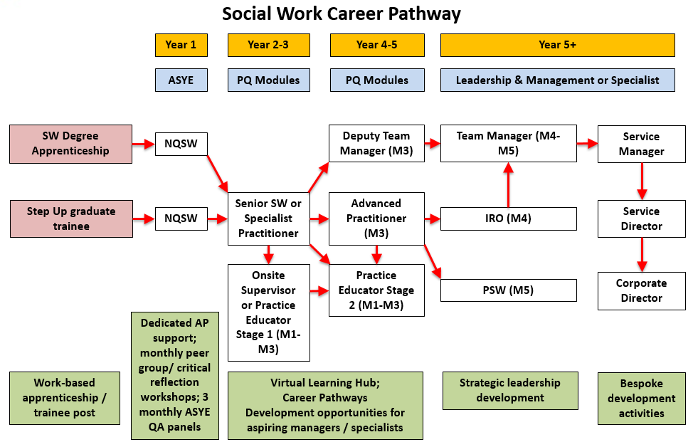 Te social care career pathwsy