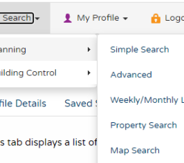 Screenshot of a simple seacrh
