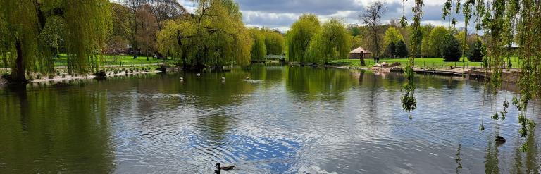 Green open space with lake